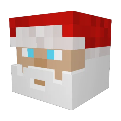 Wasbeer931 Minecraft avatar head, 3D render