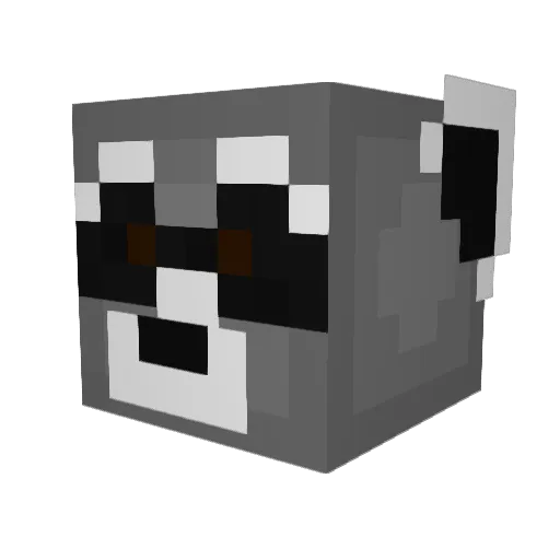 WasbeerCas Minecraft avatar head, 3D render
