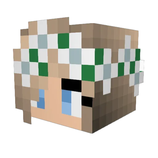 Waschba3r Minecraft avatar head, 3D render