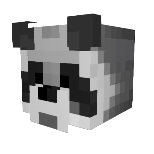 Waschbaer243 Minecraft avatar head, 3D render
