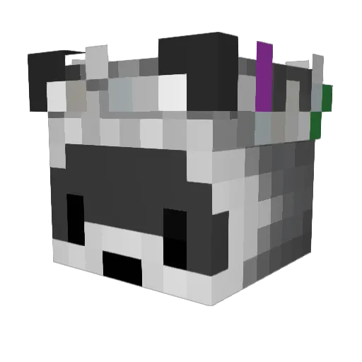 Waschbaertrader Minecraft avatar head, 3D render