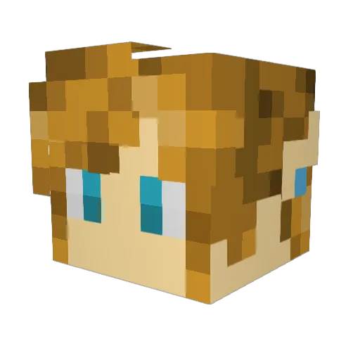Waschbar187 Minecraft avatar head, 3D render