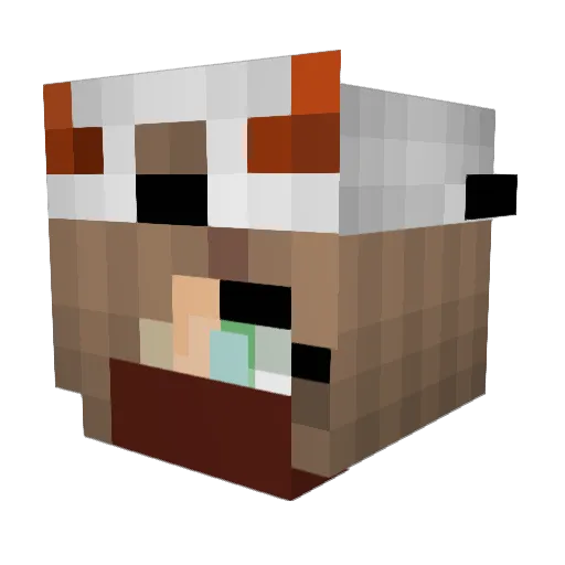 Wascokid Minecraft avatar head, 3D render