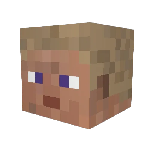 Wasd798 Minecraft avatar head, 3D render