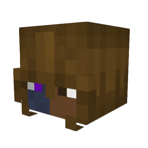 Wasdgamer_ Minecraft avatar head, 3D render