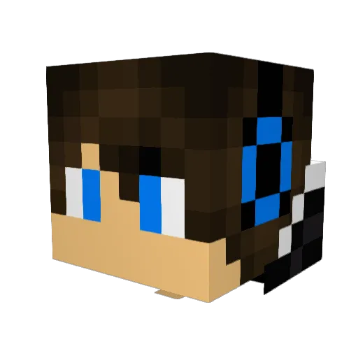 WashableAphid37 Minecraft avatar head, 3D render