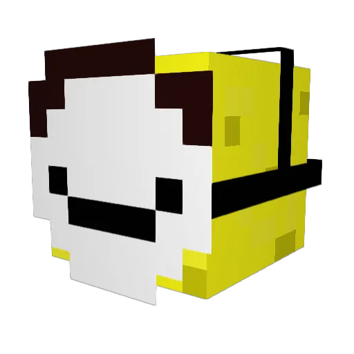 Washborn Minecraft avatar head, 3D render