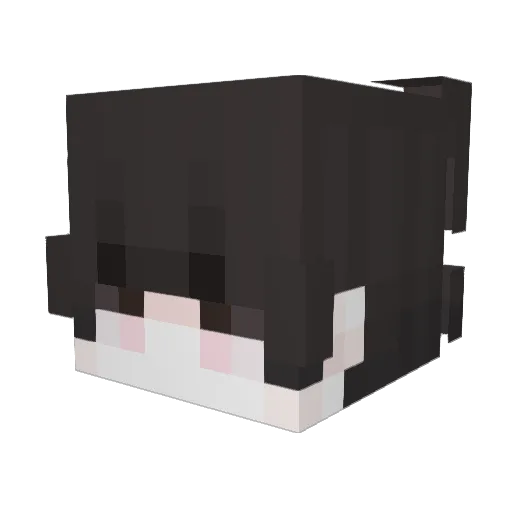 WashedG Minecraft avatar head, 3D render