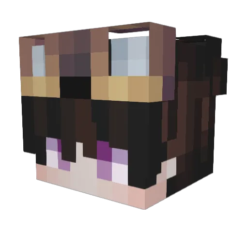 WashedUpHero Minecraft avatar head, 3D render