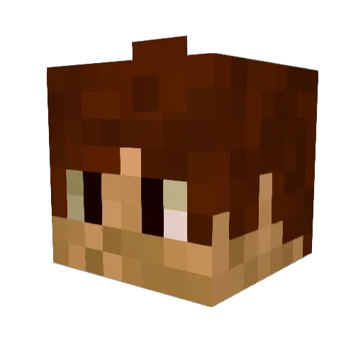 Washi Minecraft avatar head, 3D render