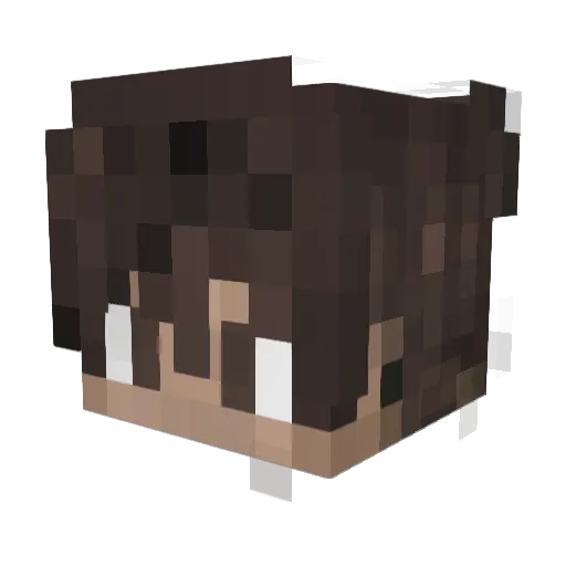 WashierPine Minecraft avatar head, 3D render