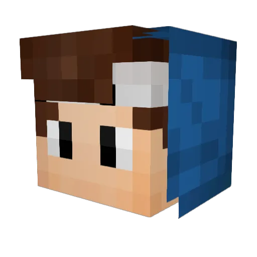 WashingPowders Minecraft avatar head, 3D render