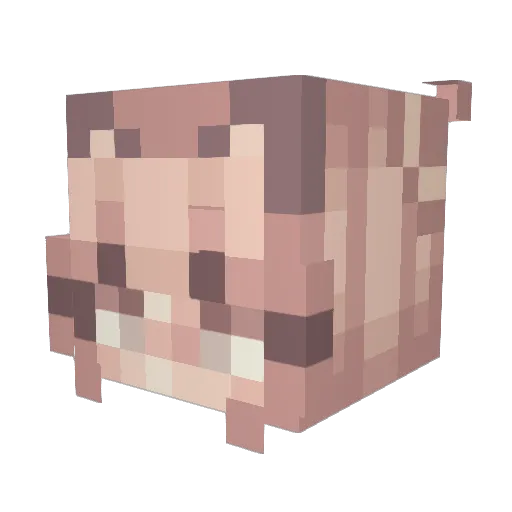 Washy0 Minecraft avatar head, 3D render