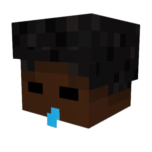 Washyys Minecraft avatar head, 3D render