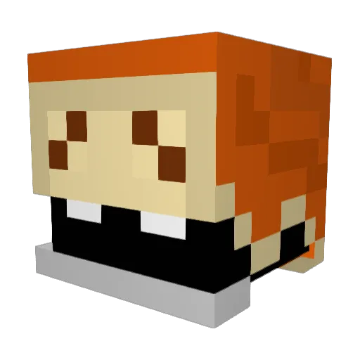 WasianSensation Minecraft avatar head, 3D render