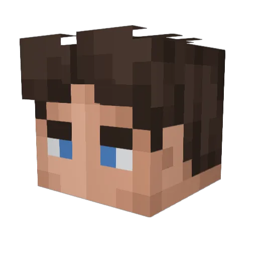 Wasisko Minecraft avatar head, 3D render