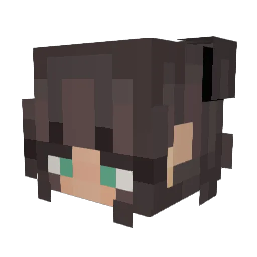 Wasnixx Minecraft avatar head, 3D render