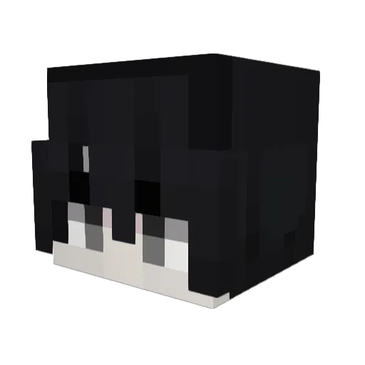 Wasoko Minecraft avatar head, 3D render