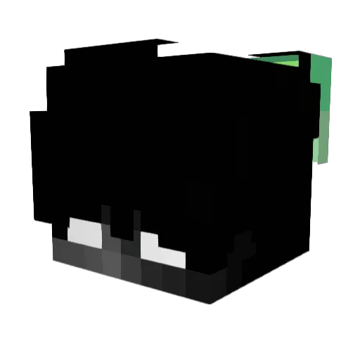 Wasoni Minecraft avatar head, 3D render