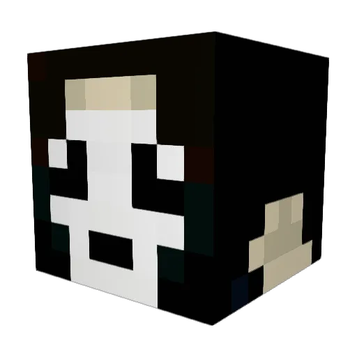 Wasp1_3 Minecraft avatar head, 3D render