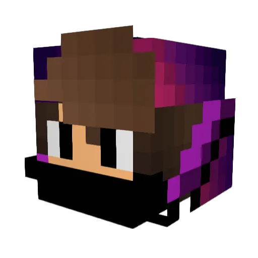 Wasp237 Minecraft avatar head, 3D render
