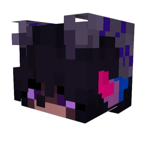 WaspHunter101 Minecraft avatar head, 3D render