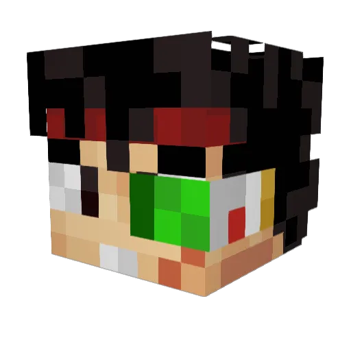 Wass14 Minecraft avatar head, 3D render