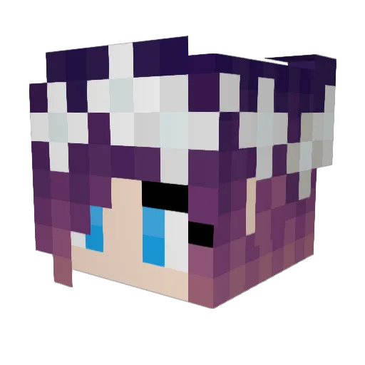 Wassabii26 Minecraft avatar head, 3D render