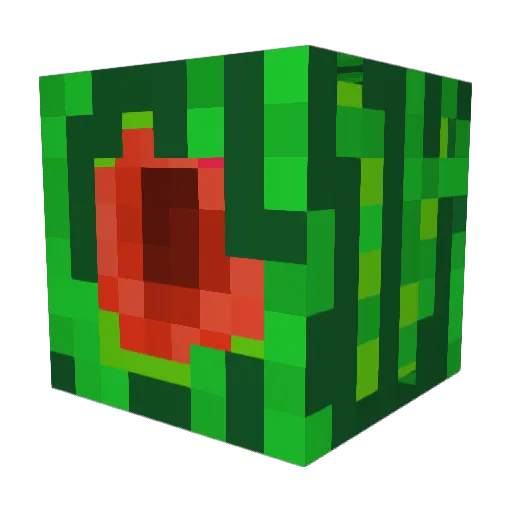 WassamelonZ Minecraft avatar head, 3D render