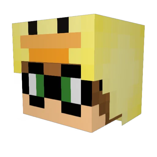 Wasserbaum Minecraft avatar head, 3D render