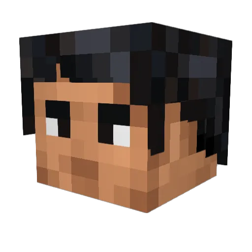 Wasserglas Minecraft avatar head, 3D render