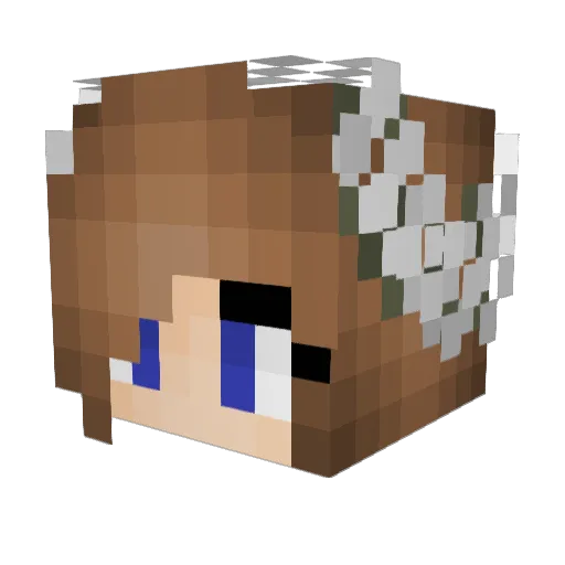 Wasserlilie7 Minecraft avatar head, 3D render