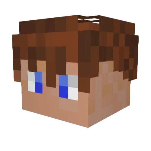 Wassermelone051 Minecraft avatar head, 3D render