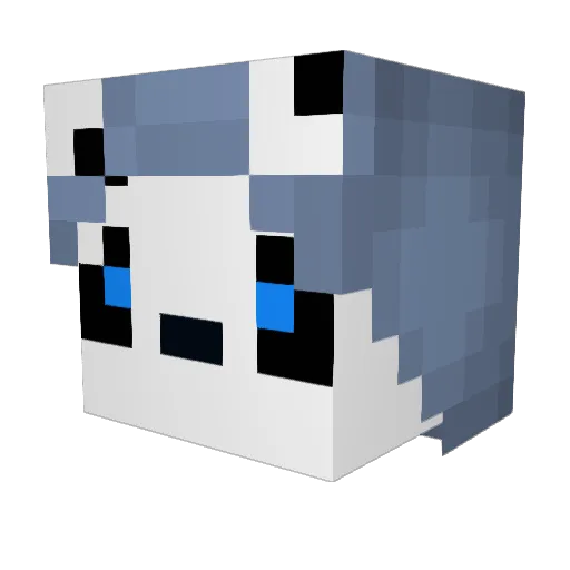 Wasserphoenix007 Minecraft avatar head, 3D render