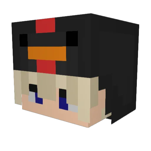 Wasserschwiizer Minecraft avatar head, 3D render