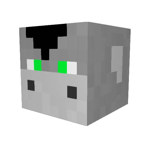WasteName Minecraft avatar head, 3D render