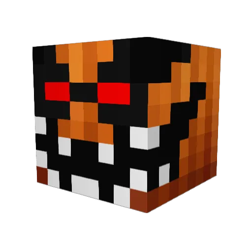 Wasted25 Minecraft avatar head, 3D render