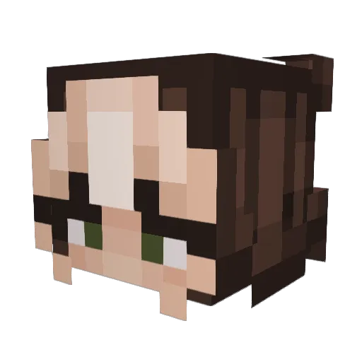 WastedBug Minecraft avatar head, 3D render