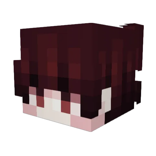 WastedKiwi Minecraft avatar head, 3D render