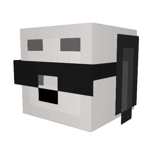 WastedPassion Minecraft avatar head, 3D render