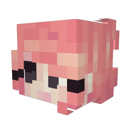 Wasted_Witch Minecraft avatar head, 3D render