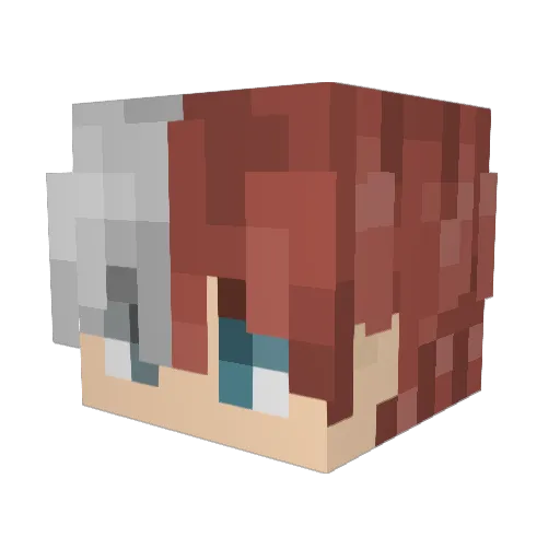 Wasteddreamer1 Minecraft avatar head, 3D render