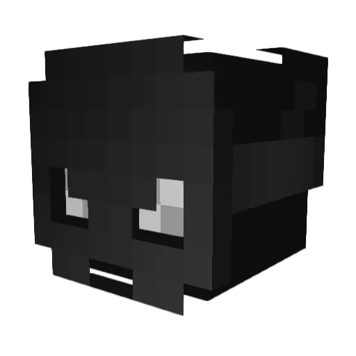 WastedofTime Minecraft avatar head, 3D render