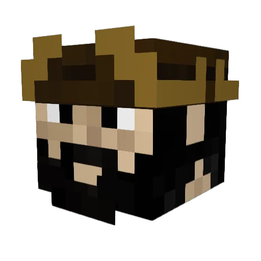 Wastedpayload24 Minecraft avatar head, 3D render