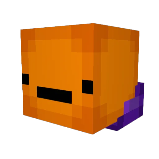 Wastedsauce Minecraft avatar head, 3D render