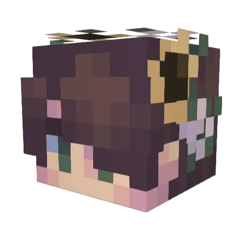 Wastelqnd Minecraft avatar head, 3D render
