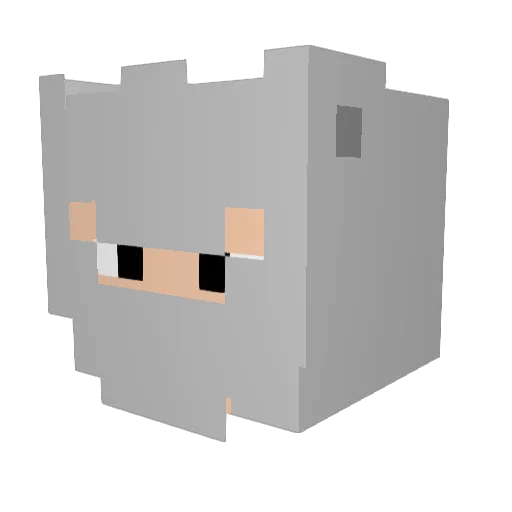 Wasteur Minecraft avatar head, 3D render