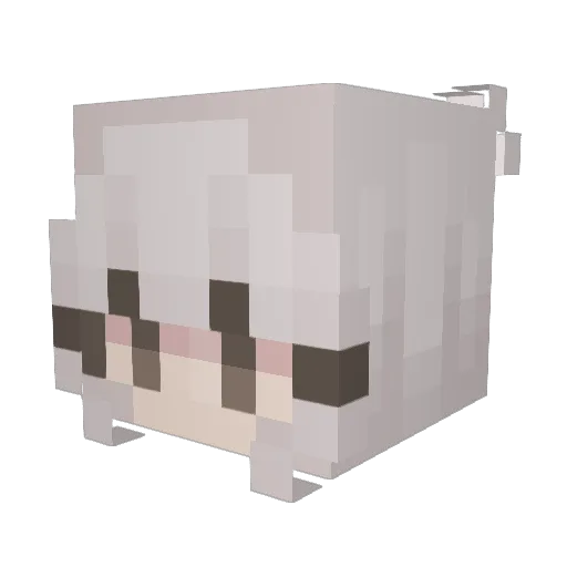 Wastkenn Minecraft avatar head, 3D render
