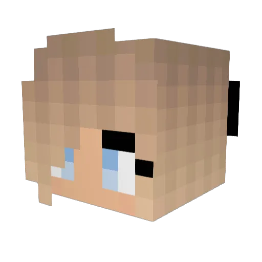 Wastukin Minecraft avatar head, 3D render