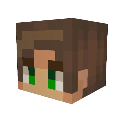 Wasylus47 Minecraft avatar head, 3D render